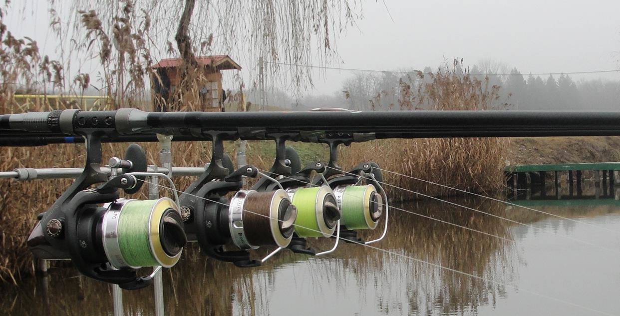 Moara Vlasiei 2 5 - 5 ian. - Va asteapta un an greu :)